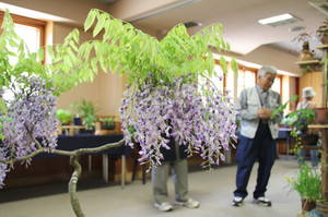 anderusenkouen 031.jpg